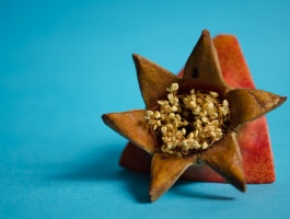 Crown of Pomegranate