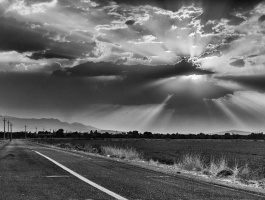 Sunset in grayscale image