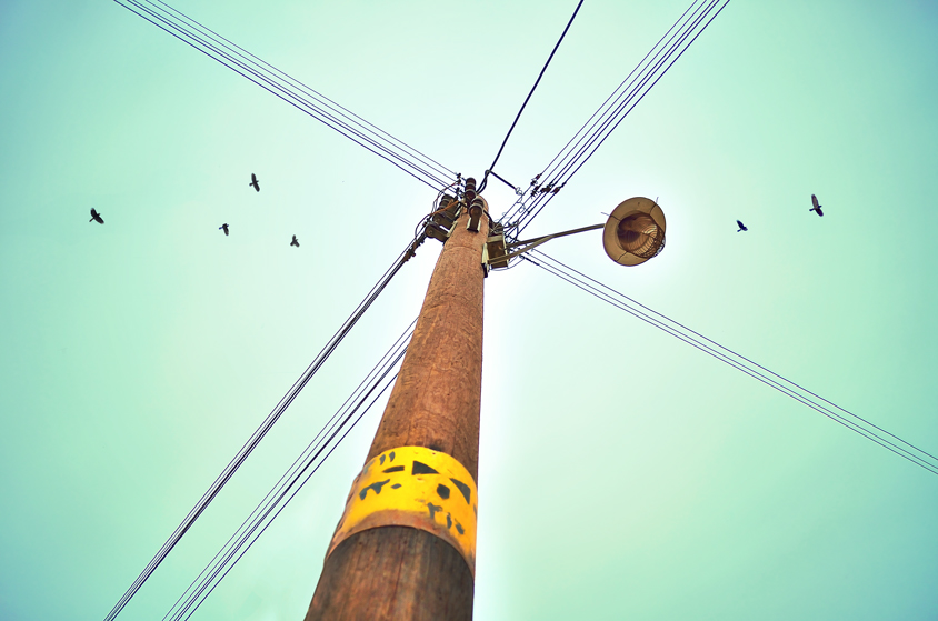 street light, wire cross, birds