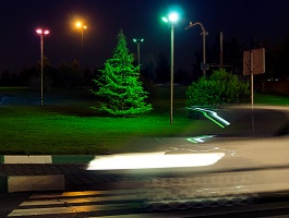 Christmas tree - Pedestrian lane - Motion blur