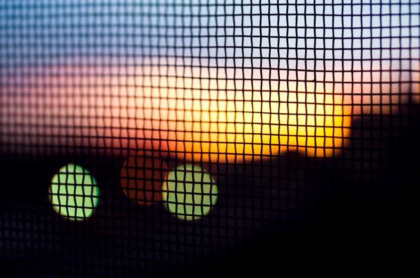 Sunset behind mesh