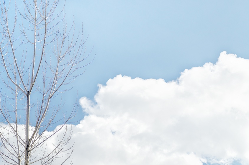 Pure sky with a tree and clouds, blue sky