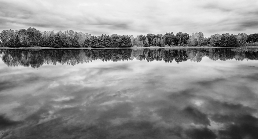 trees and clouds reflection in water